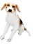 Özel 01409 Oturan Beagle Peluş 68 Cm. Fırsat!!! 1