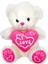 Özel 01000 Kalpli Peluş Ayı 30 cm Fırsat!!! 1