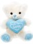 Özel 01000 Kalpli Peluş Ayı 30 cm Fırsat!!! 2