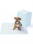 Özel Yıkanabilir Köpek Çiş Pedi - 100 x 100 cm 5li Paket Fırsat!!! 3