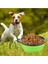 Katlanabilir Evcil Hayvan Mama ve Su Kabı ile Eğlenceli Köpek Oyuncağı 7