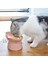 Kedi ve Köpek Için 2 Adet, 11,5X11,7X8 Cm, Kürek Hediyeli Mama Kabı Seti 2