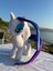 PONY AT PELUŞ OYUNCAK 3
