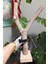 Venty Papağanlar Için Duvara Asılabilen Doğal Duvar Tüneği 44 cm | Macaw, Kakadu, Jako, Amazon, Eklektus, Kayık - M504 3