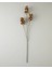 Fig Branch Tek Dal Yapay Çiçek 82 cm Bordo 1