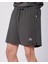 Fastina Short Erkek Antrasit Regular Fit Performance Şort 4