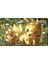 60X35CM Yeni Karikatür Pokemon Bulbasaur Lucario Ptcg Savaş Kart Masası Mat Pikachu Serin Tek Oyuncu Savaş Kurulu Oyun Halısı Hediye (Yurt Dışından) 3