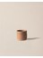 Ella Saksı - Somon - 14 cm 1