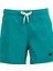 Erkek Deniz Şortu 1