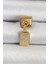 316L Çelik Sallantılı Zirkon Taşlı Kutup Yıldızı Figürlü Dikdörtgen Model Gold Renk Nomination Charm 1