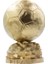 Flexıs We Make It Possıble For You Fıfa Ballon D'or Maketi Gold Kaplama 25 cm Kaliteli 2