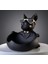 French Bulldog Dekoratif Biblo , Obje , Anahtarlık , Şekerlik , Hediyelik Eşya Bohem Tarz 1