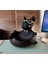 French Bulldog Dekoratif Biblo , Obje , Anahtarlık , Şekerlik , Hediyelik Eşya Bohem Tarz 2