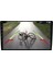 Renault Fluence Megane 3 Multimedya (2010-2016) 2 GB Ram 32 GB Hafıza 4 Çekirdek Necvox 5