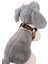 Köpek göğüs tasması minik ırk göğüs ölçüsü:30-45cm ayarlamalı dog harness GT5-3 9