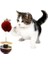 Interaktif Kedi Oyuncağı - Hacıyatmaz - Yaylı Tel - Tüylü Peluş - Tırmalama Ipi - Zilli Top 3