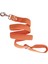 Köpek gezdirme tasması kalın metal kancalı pamuklu kolon turuncu genişlik:3cm kalınlık:3mm uzunluk:120cm dog leash B3-6 8