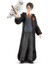 Harry Potter Büyücü Dünyası 2 Parçalı Set Harry Potter ve Hedwig Koleksiyonluk Figürler 6 Yaş ve Üzeri Çocuklar Için 1