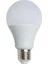 CT-4274 14W/6500K LED Ampul, Beyaz 1