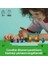 Minecraft Serseri Köylü Çöl Devriyesi 21267 – 7 Yaş ve Üzeri Kız ve Erkek Çocuklar Için Pillager, Vindicatör ve Kaktüs Şövalyesi Içeren Oyuncak Yapım Seti, Rol Yapma Oyunu Doğum Günü Hediyesi 2