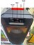 Karaoke Kablosuz Hoparlör 6.5"x2 Büyük Boy Bluetooth Speaker Mikrofon Işıklı Parti Fmradyo Aux USB 4