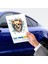 Fulcar Chiuahua Araç Stickerı 3