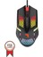 Torima Tm-15 USB Rgb Aydınlatmalı Gaming Oyuncu Mouse Siyah 1