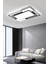 Di̇kdörtgen Model Modern Plafonyer Avi̇ze (90X60 Cm) 3