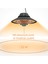 Elirglight Işikli 2000 W Tavan Isitici 4