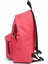 Sırt Çantası Padded Pak'r Cupcake Pink EK0006207E81 5