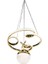 Gold Avize Ledli 2
