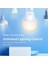 Tapo L510E Ayarlanabi̇li̇r Işik Sevi̇yeli̇ Akilli Wi-Fi LED Ampul 2
