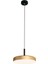 Yatakbaşı Sarkıt LED Avize Salut Ø20CM 9 Watt 1