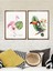 Tropikal Hayvanlar Tablo Set 21X30 cm Ceviz 1