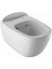 Citterio Rimfree Asma Klozet 500.510.01.1 1