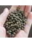 Ata Tohumları Ilaçsız Şifa Amaçlı Doğal Bamya Tohumu (250 Gram) 1