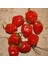Habernero Red Small Çok Acı Biber Tohumu(15 Adet) 2