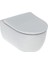 Icon Rimfree Asma Klozet Set 501.659.00.1 4