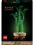 10344 Botanicals Şans Bambusu 3