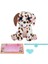 Nessiworld Scruff A Luvs Klasik Seri Sürpriz Kutu CRU10000 9