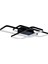 Oblong Plafonyer LED Avize 100X80 cm 119 Watt 1