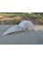 Kuzgun Kafatası (Sadece Plastik Aparattır!!!) 3D 3