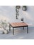 Mini Multilounge Bahçe&balkon Mobilyası 4