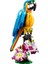 Creator 31136 Egzotik Papağan (253 Parça) 2