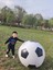 Plaj Topu Şişme Net Futbol Açık Oyuncak Top (Yurt Dışından) 2