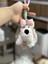 Yeni 1 Adet Peluş Yumuşak Kolye Anahtarlık Sevimli Hediye Peluş Oyuncak Bebekler (Yurt Dışından) 1