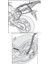 Gıvı Plx2118 Yamaha Mt-07 (14-17) Yan Çanta Taşıyıcı 4