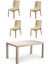 70X120 cm Rattan 4 Kişilik Masa Seti Kolsuz Sandalye Bahçe Teras Takımı Camsız Oturma Grubu 1