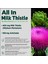 All In Milk Thistle (60 Tablet) 2'li Avantajlı Paket 7