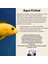 Aqua Cıchled – Cichlid (Ciklet) Balıkları Için Renk & Iskelet Gelişimi Mineral Desteği (100 Ml) 2